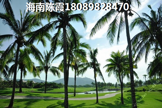 三亚吉阳区房价2025年房价走势，