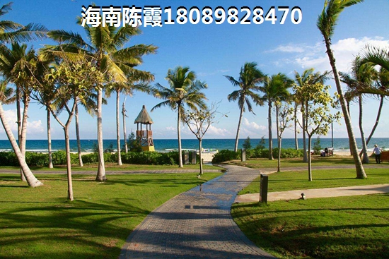 天堂旅行团always have always will