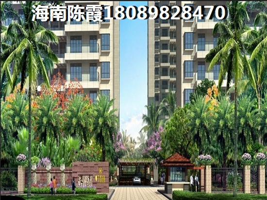 海南鲁能三亚湾二手房能不能生纸