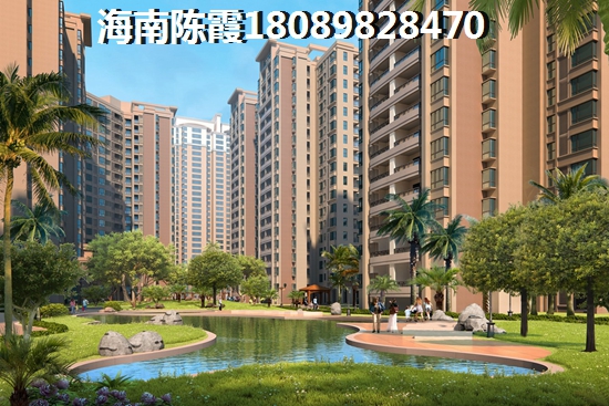 春节家里养什么植物醉好