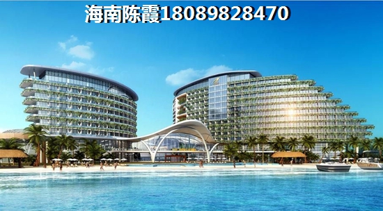 鸟儿为什么可以飞 鸟儿为什么可以飞